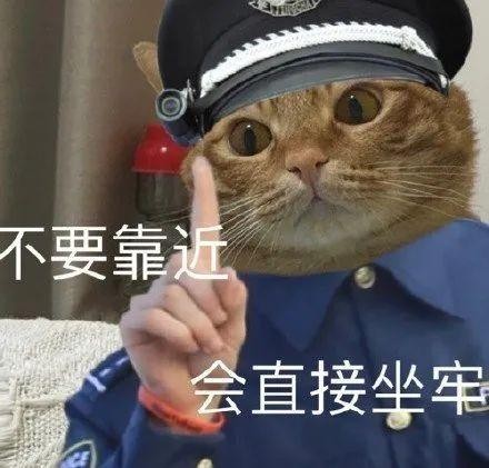 大快人心！那个造谣猫咪传播新冠的网红被刑拘了